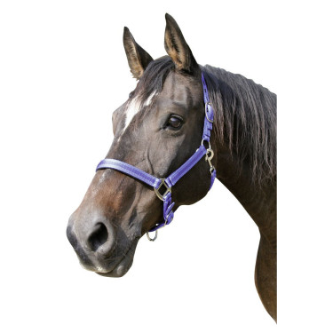 Licol Mustang Covalliero Licol Mustang Covalliero