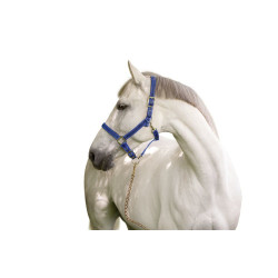 Licol Mustang Covalliero Bleu roi / noir