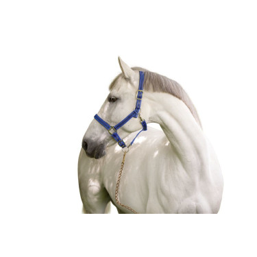 Licol Mustang Covalliero Licol Mustang Covalliero