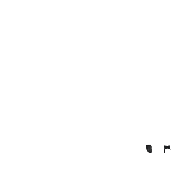 Protège-boulets LeMieux Arika Noir
