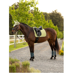 Tapis de dressage LeMieux Square tissu mesh Air-Tek Macaron Vert