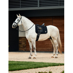 Tapis de dressage Weatherbeeta Softshell Pro 3D Air-Tec Tapis de dressage Weatherbeeta Softshell Pro 3D Air-Tec