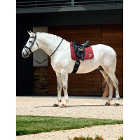 Tapis de dressage Weatherbeeta Softshell Pro 3D Air-Tec Noir