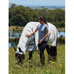 Couverture anti-dermite Weatherbeeta Combo