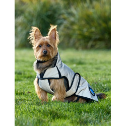 Couverture imperméable chien Weatherbeeta ComFiTec réflechissant Couverture imperméable chien Weatherbeeta ComFiTec réflechissant