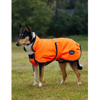Couverture imperméable chien Weatherbeeta ComFiTec réflechissant 300D Deluxe Couverture imperméable chien Weatherbeeta ComFiTec réflechissant 300D Deluxe