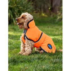 Couverture imperméable chien Weatherbeeta ComFiTec réflechissant 300D Deluxe Orange Couverture imperméable chien Weatherbeeta ComFiTec réflechissant 300D Deluxe Orange