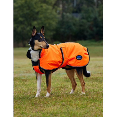 Couverture imperméable chien Weatherbeeta ComFiTec réflechissant 300D Deluxe Orange Couverture imperméable chien Weatherbeeta ComFiTec réflechissant 300D Deluxe Orange