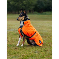 Couverture imperméable chien Weatherbeeta ComFiTec réflechissant 300D Deluxe Orange Couverture imperméable chien Weatherbeeta ComFiTec réflechissant 300D Deluxe Orange