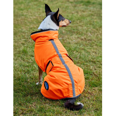 Couverture imperméable chien Weatherbeeta ComFiTec réflechissant 300D Deluxe Orange Couverture imperméable chien Weatherbeeta ComFiTec réflechissant 300D Deluxe Orange
