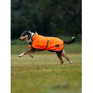 Couverture imperméable chien Weatherbeeta ComFiTec réflechissant 300D Deluxe Orange Couverture imperméable chien Weatherbeeta ComFiTec réflechissant 300D Deluxe Orange