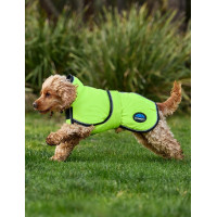 Couverture imperméable chien Weatherbeeta ComFiTec réflechissant 300D Deluxe Couverture imperméable chien Weatherbeeta ComFiTec réflechissant 300D Deluxe