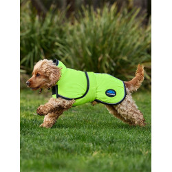 Couverture imperméable chien Weatherbeeta ComFiTec réflechissant 300D Deluxe Couverture imperméable chien Weatherbeeta ComFiTec réflechissant 300D Deluxe