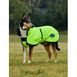 Couverture imperméable chien Weatherbeeta ComFiTec réflechissant 300D Deluxe Couverture imperméable chien Weatherbeeta ComFiTec réflechissant 300D Deluxe