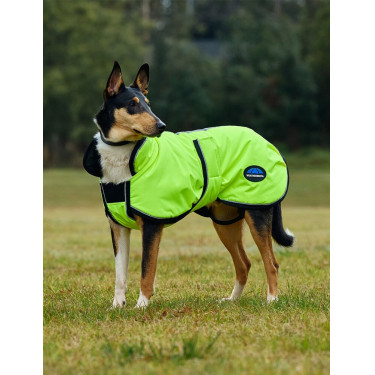 Couverture imperméable chien Weatherbeeta ComFiTec réflechissant 300D Deluxe Couverture imperméable chien Weatherbeeta ComFiTec réflechissant 300D Deluxe