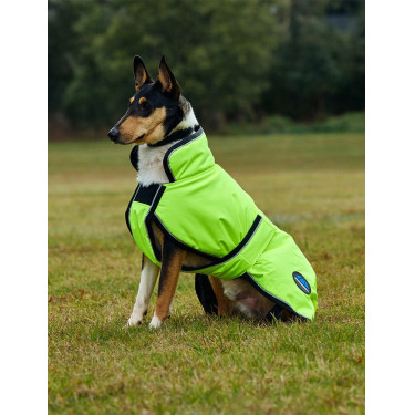 Couverture imperméable chien Weatherbeeta ComFiTec réflechissant 300D Deluxe Couverture imperméable chien Weatherbeeta ComFiTec réflechissant 300D Deluxe