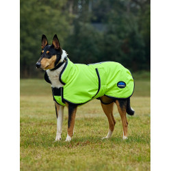 Couverture imperméable chien Weatherbeeta ComFiTec réflechissant 300D Deluxe Couverture imperméable chien Weatherbeeta ComFiTec réflechissant 300D Deluxe
