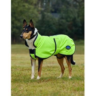 Couverture imperméable chien Weatherbeeta ComFiTec réflechissant 300D Deluxe Couverture imperméable chien Weatherbeeta ComFiTec réflechissant 300D Deluxe