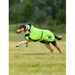 Couverture imperméable chien Weatherbeeta ComFiTec réflechissant 300D Deluxe Couverture imperméable chien Weatherbeeta ComFiTec réflechissant 300D Deluxe