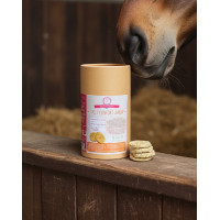 Complément Cycle Confort Jument Happy Crackers
