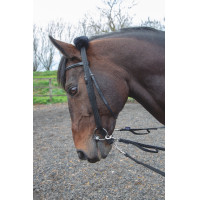 Adaptateur de longe Shires Noir