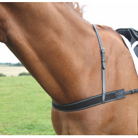 Bricole élastique Shires Velociti Gara Noir
