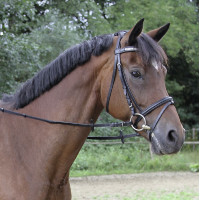 Rênes Covalliero finition cuir