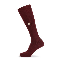 Chaussettes hautes Cottonwood Shires Aubrion Bordeaux