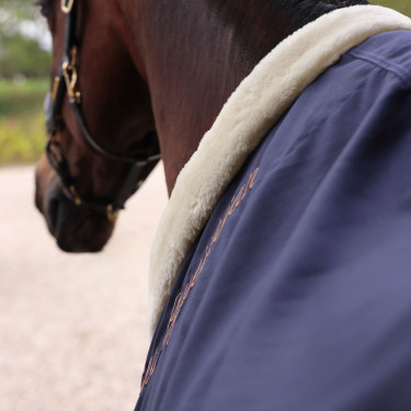 Chemise d'écurie Deluxe Shires