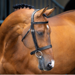 Bridon à caveçon Hunter Shires Velociti Lusso