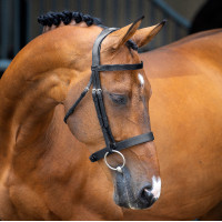 Bridon à caveçon Hunter Shires Velociti Lusso Bridon à caveçon Hunter Shires Velociti Lusso