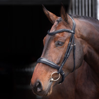 Bridon à caveçon matelassé Elite Shires Velociti Lusso