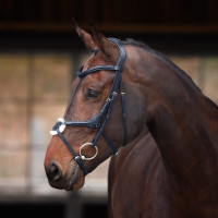 Bridon à muserolle croisée Elite Shires Velociti Lusso Bridon à muserolle croisée Elite Shires Velociti Lusso