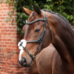 Bridon à muserolle croisée Opus 180M Shires Velociti Lusso Bridon à muserolle croisée Opus 180M Shires Velociti Lusso