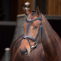 Bridon à muserolle française Elite Shires Velociti Lusso Noir Bridon à muserolle française Elite Shires Velociti Lusso Noir