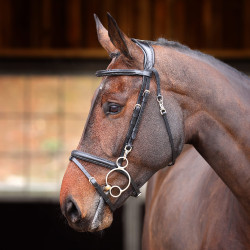 Bridon d'entraînement Shires Velociti Rapida Bridon d'entraînement Shires Velociti Rapida