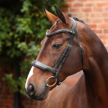 Bridon de dressage à caveçon Opus 180M Shires Velociti Lusso