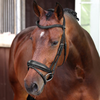 Bridon de dressage à muserolle française Elite Shires Velociti Lusso Bridon de dressage à muserolle française Elite Shires Velociti Lusso