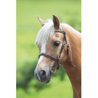Bridon de présentation clincher Shires Velociti Gara Bridon de présentation clincher Shires Velociti Gara