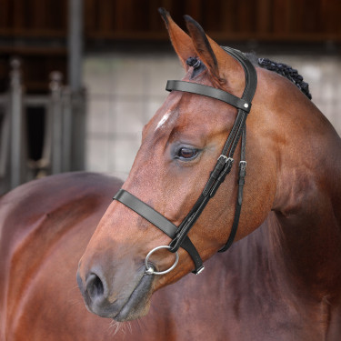 Bridon Hunter Elite Shires Velociti Lusso Bridon Hunter Elite Shires Velociti Lusso