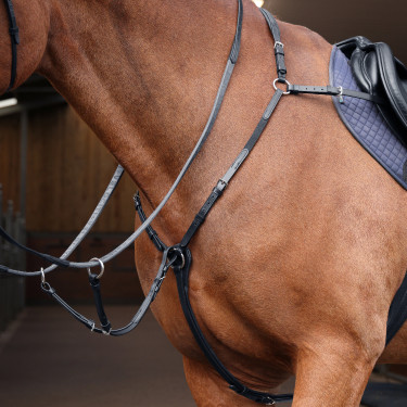 Collier de chasse élastique Shires Velociti Rapida