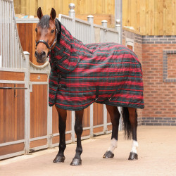 Couverture d'écurie intégrale Plus 200 Shires Tempest Couverture d'écurie intégrale Plus 200 Shires Tempest