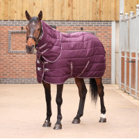 Couverture d'écurie Original 300 + couvre-cou Shires Tempest