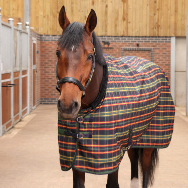 Couverture d'écurie Plus Lite Shires Tempest