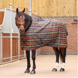 Couverture d'écurie Plus Lite Shires Tempest