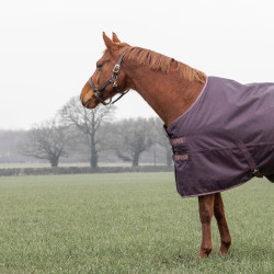 Couverture d'extérieur 100 Shires Typhoon Couverture d'extérieur 100 Shires Typhoon