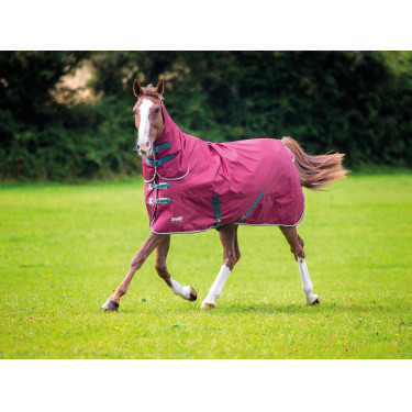 Couverture d'extérieur intégrale Original 200 Shires Tempest