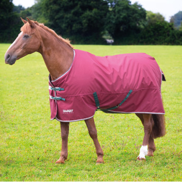 Couverture d'extérieur Original 200 Shires Tempest Couverture d'extérieur Original 200 Shires Tempest