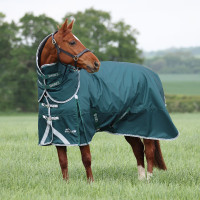 Couverture d'extérieur Original 300 + couvre-cou Shires Highlander