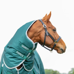 Couverture d'extérieur Original 300 + couvre-cou Shires Highlander